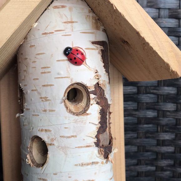 Wood bird feeder/log decor or for use. Peanuts/suet can be placed in the holes. - Picture 3 of 7